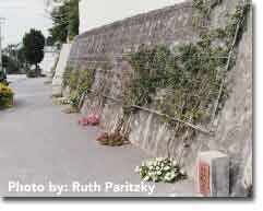 Flowers on a Wall